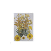 Dried Pressed Flowers for Resin Dry Leaves Bulk for Scrapbooking DIY Art Crafts