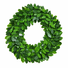Gardening Round Decoration Flower Pot Wire for Plants and DIY Crafts