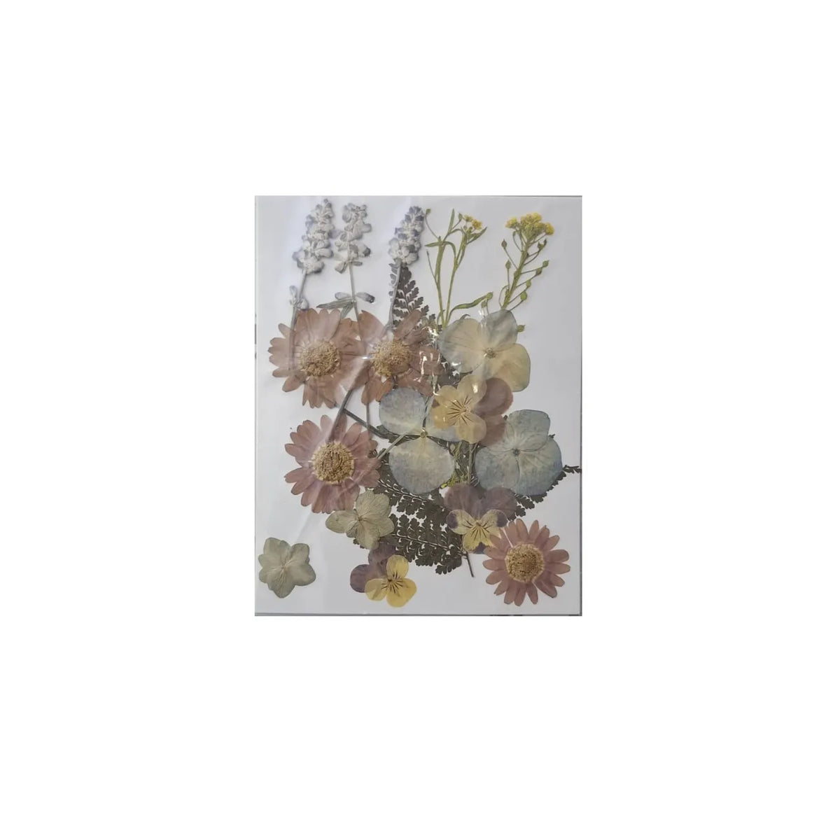 Dried Pressed Flowers for Resin Dry Leaves Bulk for Scrapbooking DIY Art Crafts