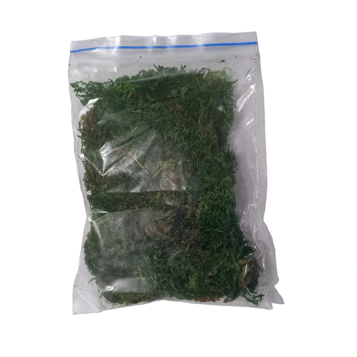 Artificial Green Grass – 25g Model Making Material