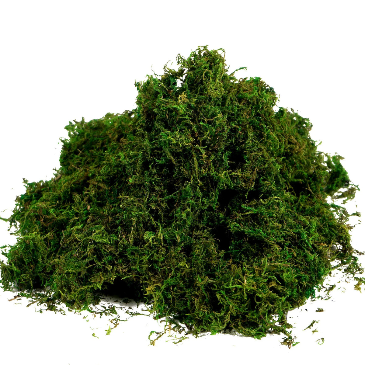 Artificial Green Grass – 5g Model Making Material