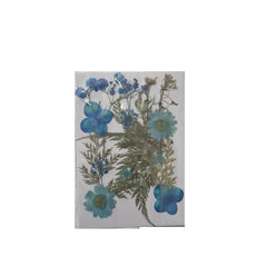 Dried Pressed Flowers for Resin Dry Leaves Bulk for Scrapbooking DIY Art Crafts