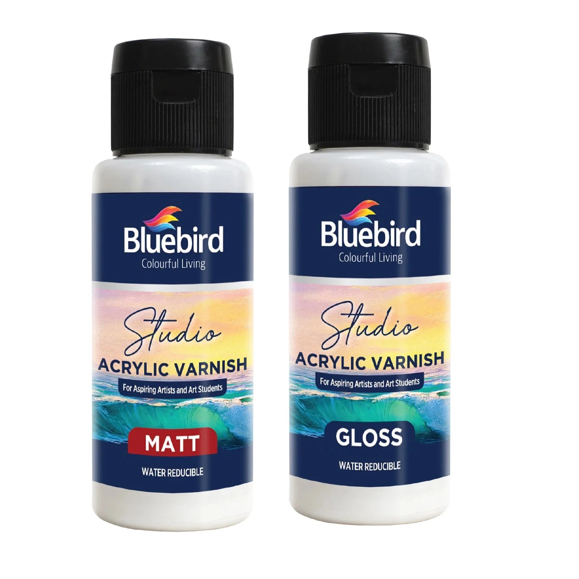 Bluebird studio acrylic varnish 100ml gloss and matt water-reducible for acrylic paintings