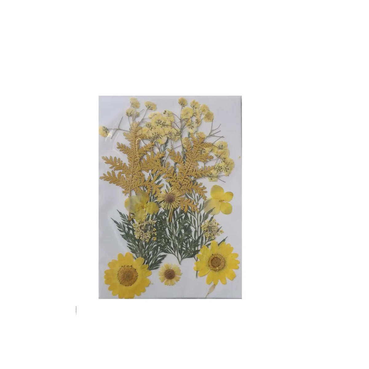 Dried Pressed Flowers for Resin Dry Leaves Bulk for Scrapbooking DIY Art Crafts