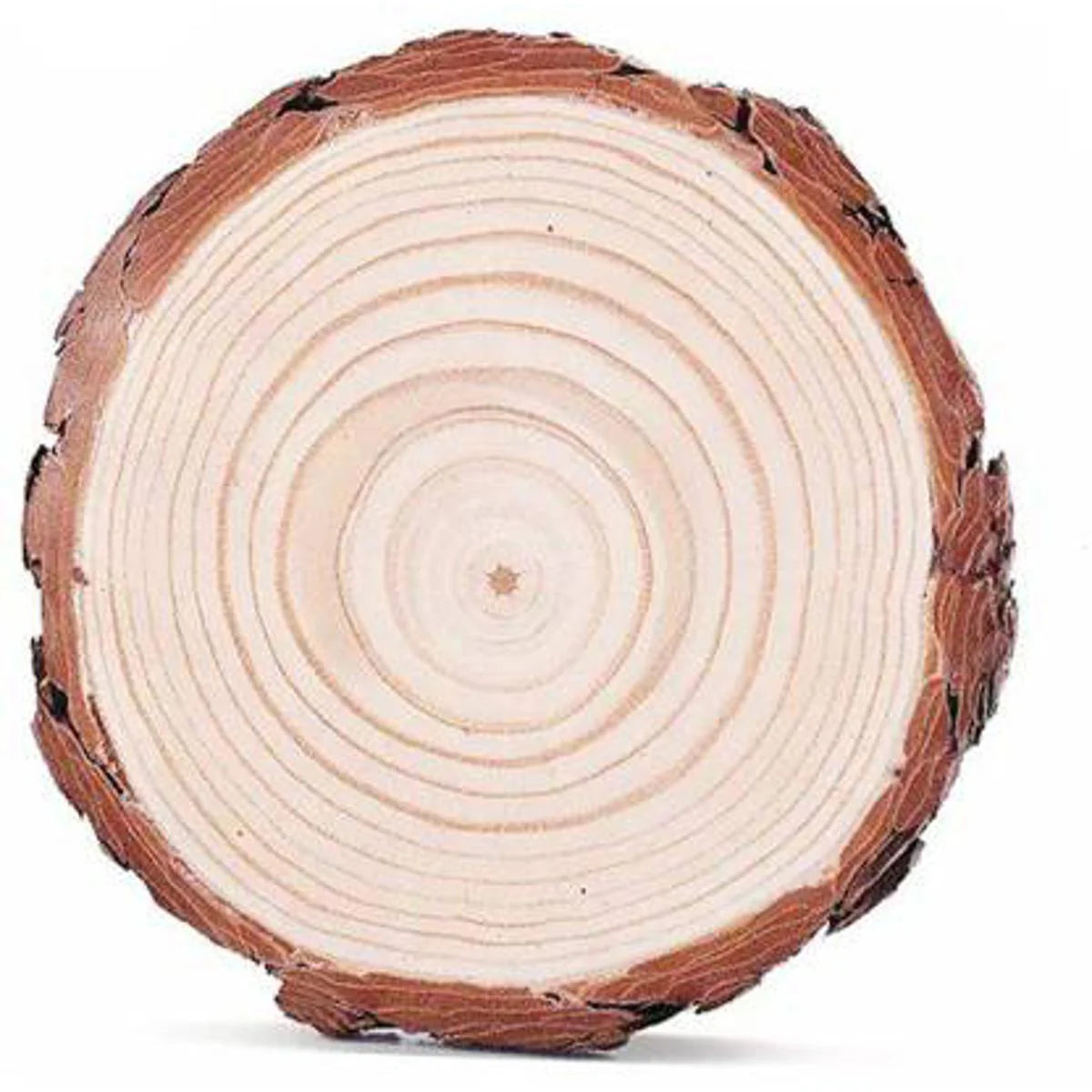 Wooden Log Slice Disc 4–5 Inch